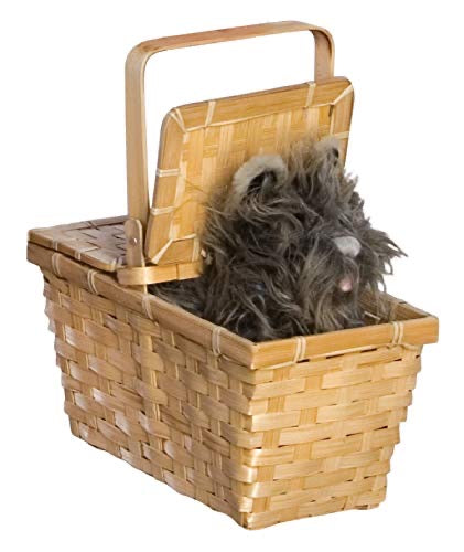 Dorothy Basket with TOTO
